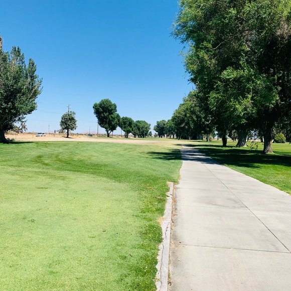 Meet your Posher, Lionel - Picture 1 of 1